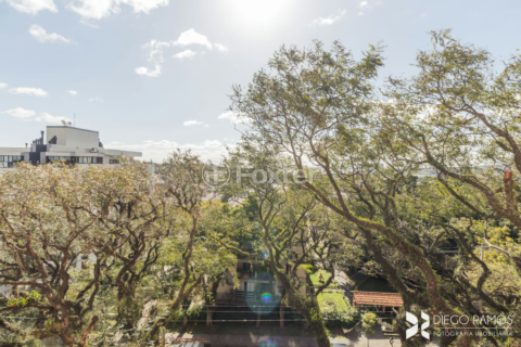 Image 31 - 208746