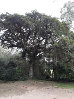 Image 35 - 210012