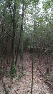Image 39 - 210012