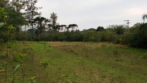 Image 42 - 210012