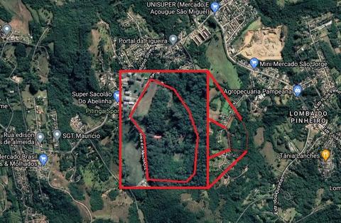 Image 45 - 210012