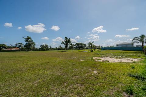 Image 13 - 210142