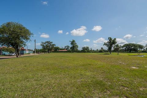 Image 14 - 210142
