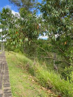 Image 77 - 210536