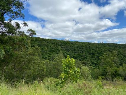 Image 80 - 210536