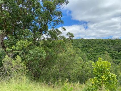 Image 82 - 210536