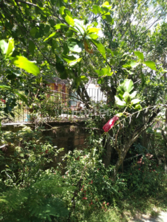 Image 29 - 213266