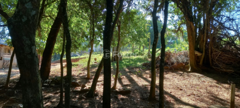 Image 75 - 214438