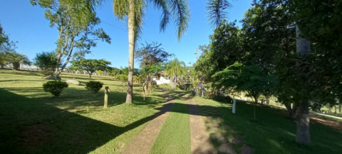 Image 79 - 214438