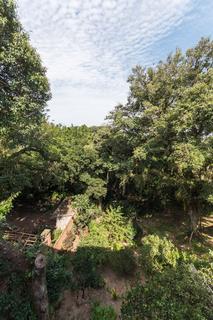 Image 35 - 214736