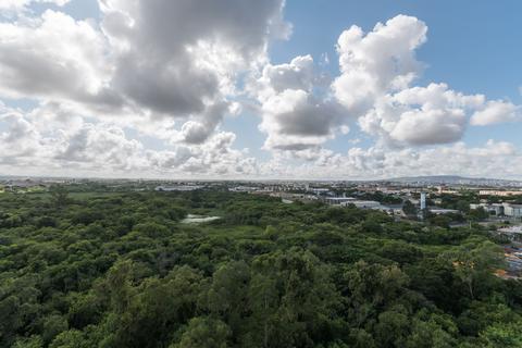 Image 9 - 215439