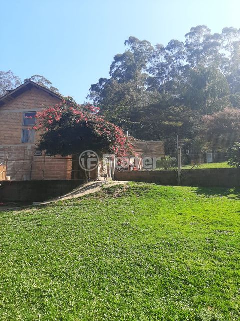Image 30 - 216914