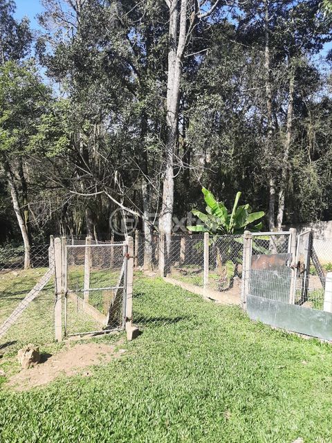 Image 25 - 216914