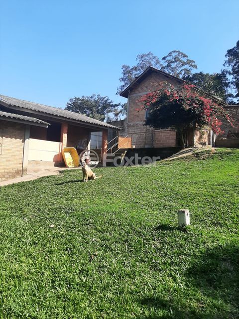 Image 24 - 216914