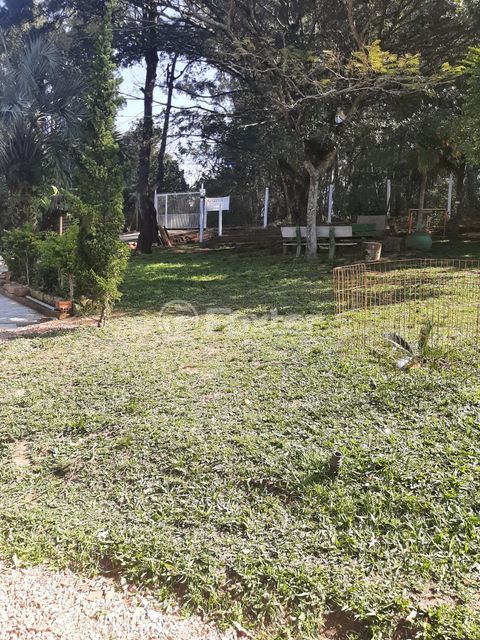 Image 33 - 216914