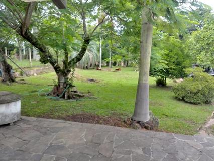 Image 6 - 217635