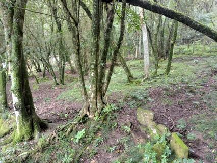 Image 5 - 217635