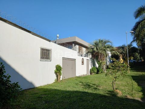 Image 38 - 218353
