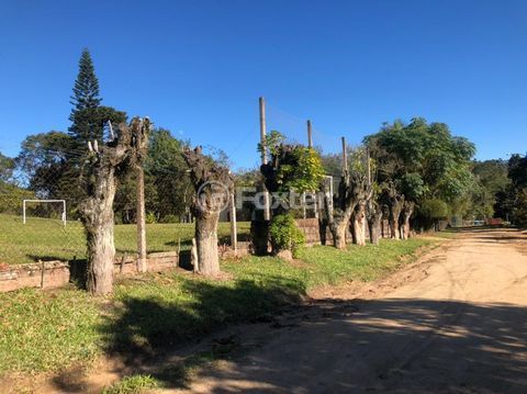 Image 9 - 218421