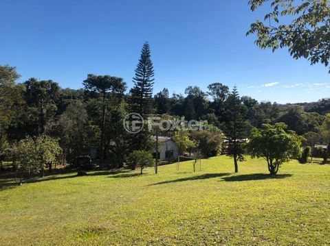 Image 18 - 218421