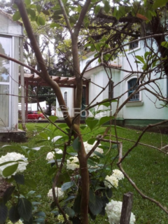 Image 14 - 218816