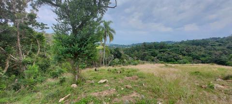 Image 6 - 219637