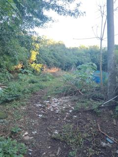 Image 8 - 219656