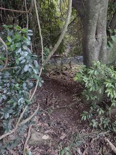 Image 5 - 219656