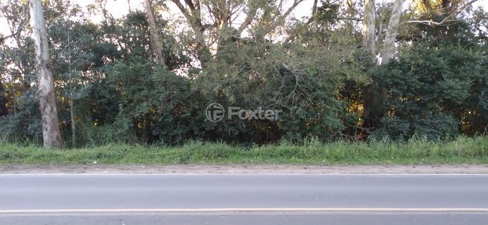 Image 20 - 219678