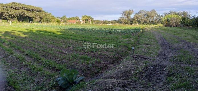 Image 4 - 219678