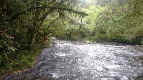 Image 10 - 220541
