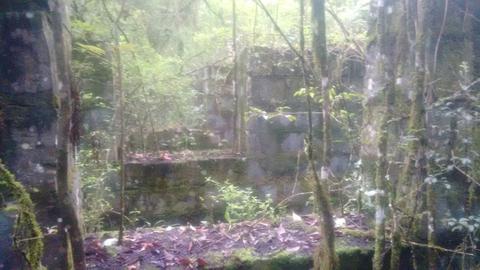 Image 6 - 220541