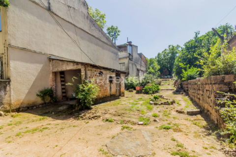 Image 41 - 222495