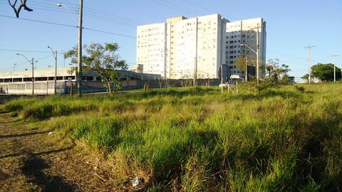 Image 10 - 223455