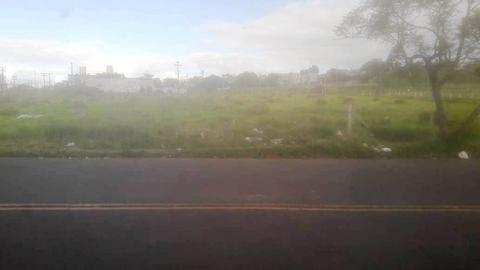 Image 5 - 223455