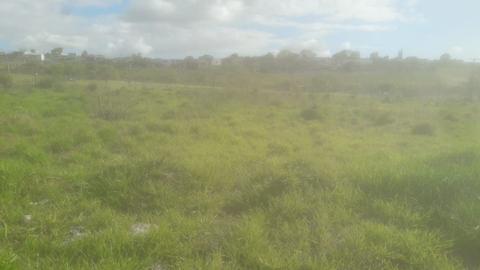 Image 7 - 223455