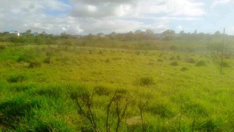 Image 6 - 223459