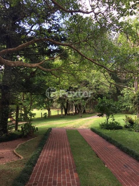 Image 7 - 224835