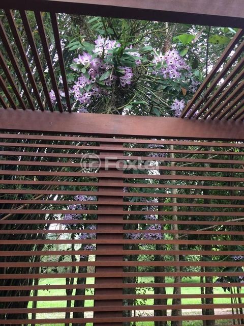 Image 6 - 224835