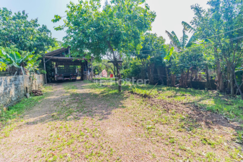 Image 33 - 225223