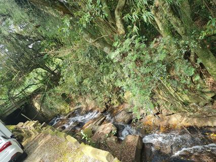 Image 5 - 225323