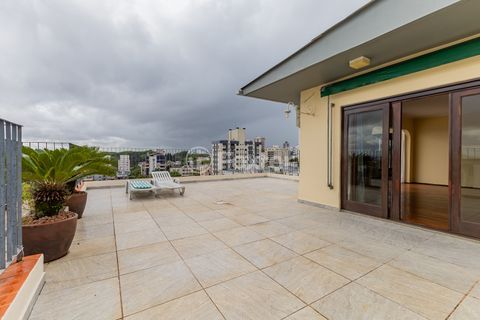 Image 11 - 226487