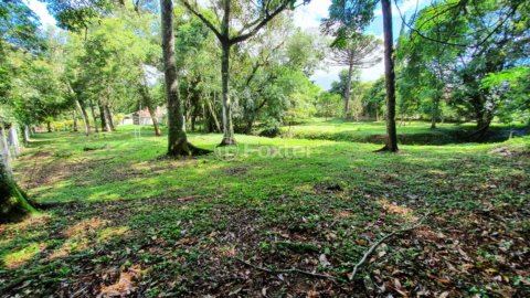 Image 3 - 226712