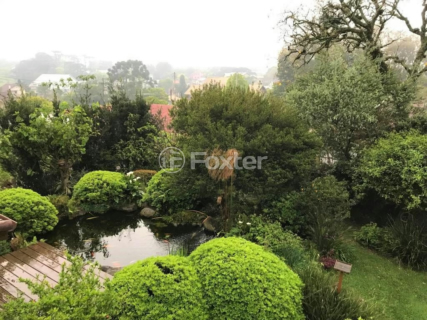 Image 34 - 228546