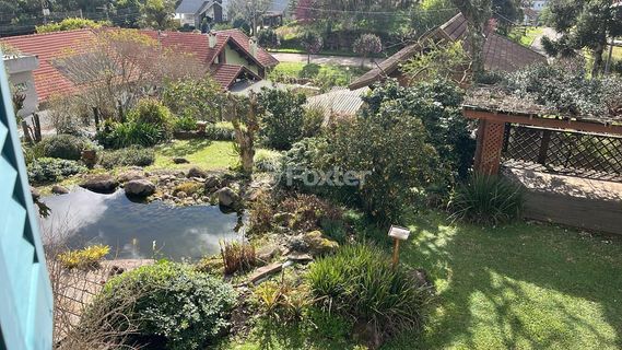 Image 9 - 228546