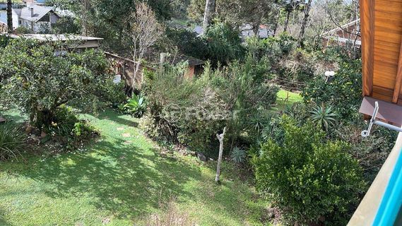 Image 12 - 228546