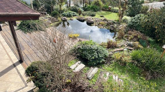 Image 10 - 228546