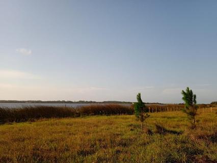Image 0 - 228667
