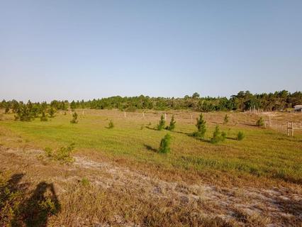 Image 12 - 228667