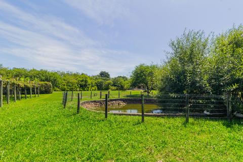 Image 16 - 229387